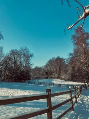 a wooden fence in the snow with a field at Ons Hofke in Lubbeek