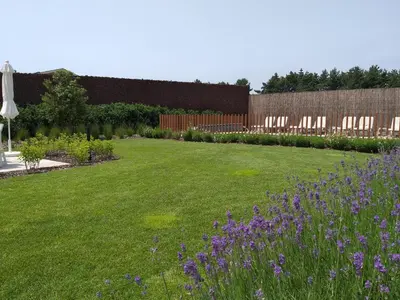 a garden with purple flowers in a yard at Landhuys Odette in Retie