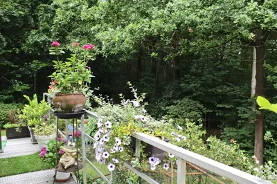 a bunch of flowers in a garden on a railing at Linden-Jachthoorn in Lubbeek
