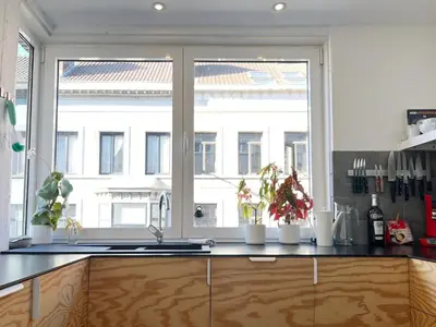 a kitchen with a window and a counter with plants at Trendy & sunny apartment in Ghent in Ghent