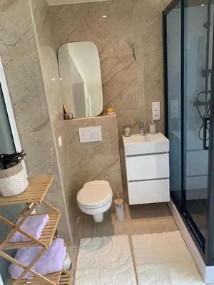 a bathroom with a toilet and a sink and a mirror at Comme à la Maison in Brussels