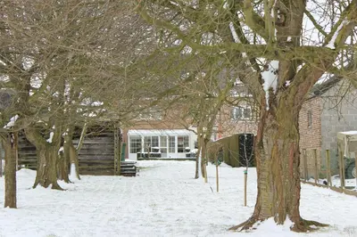 a group of trees in the snow in front of a house at B&B Den Boomgaard Moorsel in Moorsel