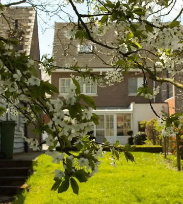 a house with white flowers in front of it at B&B Den Boomgaard Moorsel in Moorsel