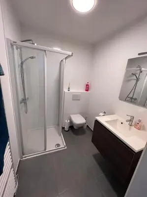 a bathroom with a shower and a toilet and a sink at brugsken, Sint-Niklaas in Sint-Niklaas