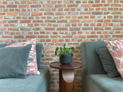 a table with a plant on it next to two couches at Boutique Hotel Marie Marie in Dendermonde