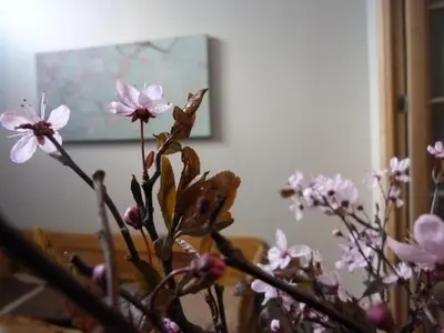 a bunch of pink flowers in a vase at Guesthouse Alizée in Leuven