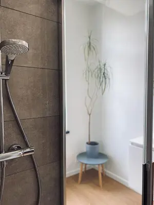 a shower in a bathroom with a potted plant at B&B Faja lobi in Ghent