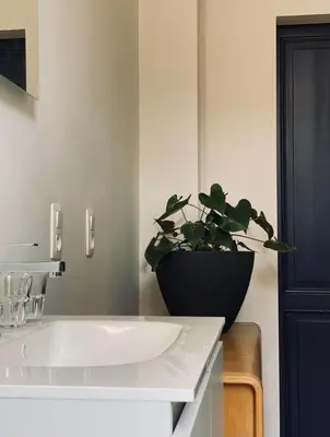 a bathroom with a white sink and a potted plant at B&B Faja lobi in Ghent