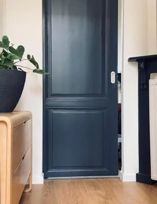 a blue door in a room with a potted plant at B&B Faja lobi in Ghent