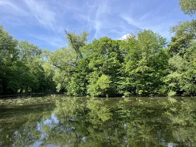 a river with trees and reflections in the water at La Maison des Sources in Brussels