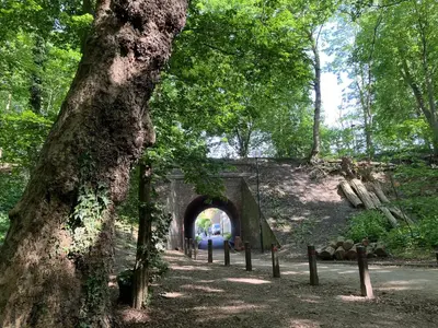 a tunnel in the middle of a forest with a tree at La Maison des Sources in Brussels