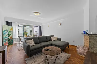 a living room with a couch and a fireplace at Central & luminous apartment in Antwerp