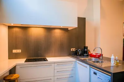 a kitchen with a stove and a sink in it at Unieke woning in het historisch stadscentrum in Antwerp
