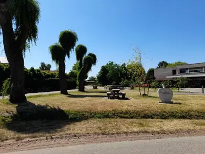 a park with palm trees and a picnic table at Oud-Turnhout Nature Chalet in Oud-Turnhout