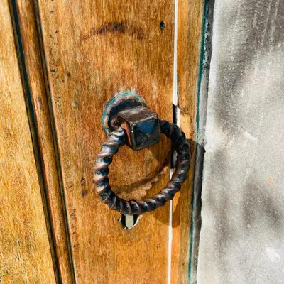 a wooden door with a black rope on it at Domaine Bourgogne en Grez 