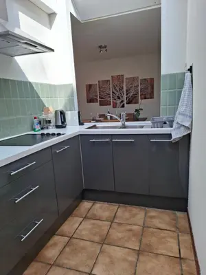 a kitchen with gray cabinets and a sink at De Volkswasserij, woning met tuin in Leuven
