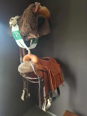 a stuffed animal is hanging on a wall at B&B Finis terrae in Lokeren