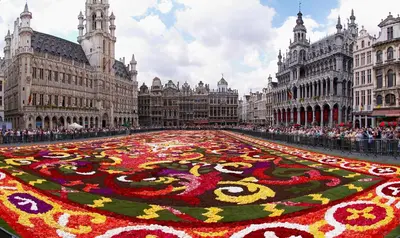 a large carpet of flowers on a city street at Hotel The Moon in Brussels
