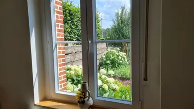 an open window with a view of a garden at Boshovense Velden in Grobbendonk