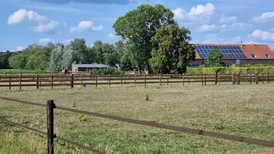 a field with a fence and a barn with solar panels at Boshovense Velden in Grobbendonk