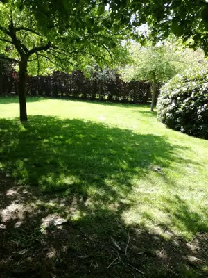 a green lawn with trees and bushes in a park at Nuvola ULTIMO Resort in Zottegem