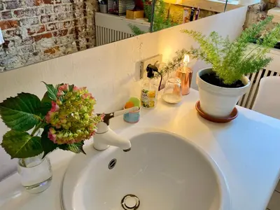 a bathroom sink with a vase of flowers and plants at Calm, green & birdsong in Brussels