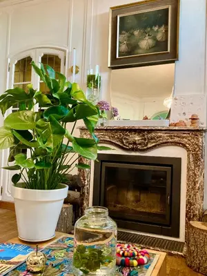 a living room with a fireplace and a plant at Calm, green & birdsong in Brussels