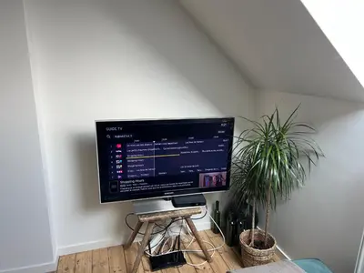 a computer monitor on a stand in a room with a plant at Cosy Nest in Brussels