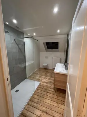 a bathroom with a shower and a sink and a toilet at Cosy Nest in Brussels