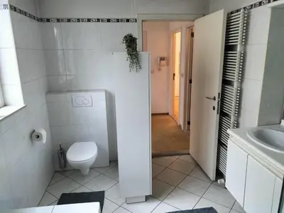 a white bathroom with a toilet and a sink at bel etage woning in Ghent