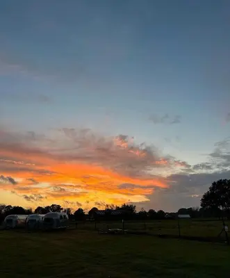 a sunset with two camels parked in a field at B&B Droomzoet in Herentals
