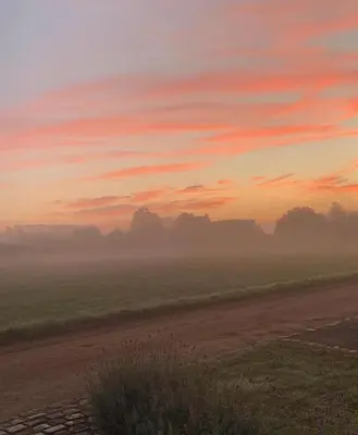 a misty field with a sunset in the background at B&B Droomzoet in Herentals