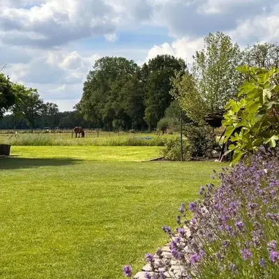 B&B Droomzoet