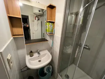 a small bathroom with a sink and a shower at Appartements Brussels in Brussels