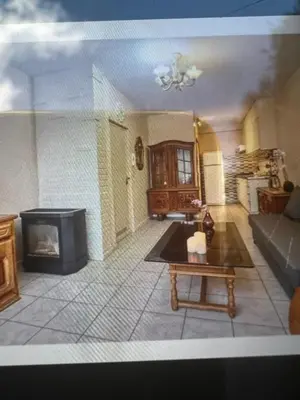 a living room with a couch and a fireplace at Appartements Brussels in Brussels