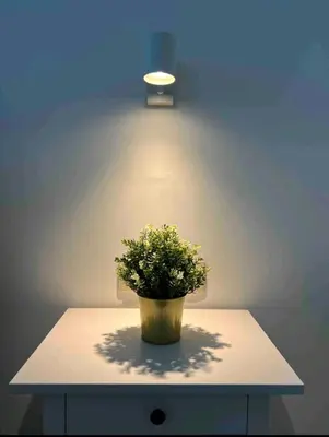 a potted plant sitting on a table under a light at Sublime appartement Calme Cosy & Jacuzzi in Brussels