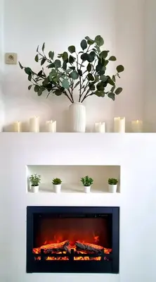 a fireplace with a vase with a plant in it at Sublime appartement Calme Cosy & Jacuzzi in Brussels