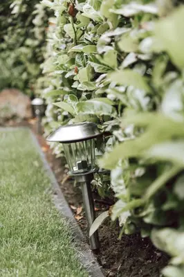 a row of bushes with a light in the grass at Imagine Tiny House 325 op Camping GT te Balen in Balen