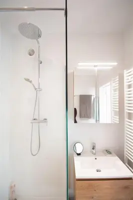 a bathroom with a shower and a sink at Plein centre de Waterloo! 2 in Waterloo