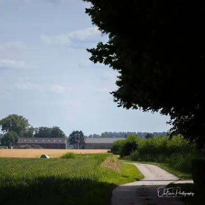 a road leading to a field with a building in the background at Vakantiehuis Paula in Watervliet