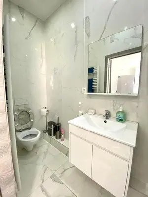 a bathroom with a toilet and a sink and a mirror at appartement douvres in Brussels