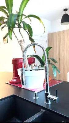 a kitchen sink with a potted plant on a counter at Appartement 3 chambres Centre Vilvoorde Bruxelles BrusselsAirport Expo NATO Anvers Wifi Free Parking in Vilvoorde