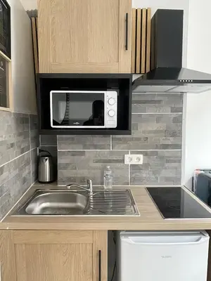 a kitchen with a sink and a microwave at cantillonn in Brussels