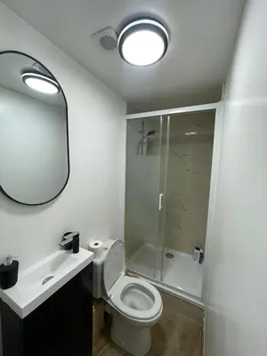 a bathroom with a toilet and a shower and a mirror at cantillonn in Brussels