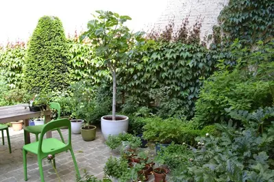 a garden with a bench and a tree and plants at Carriage House in quiet ecological garden in Antwerp