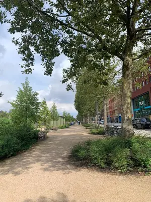 a dirt road with trees and benches on a street at Royal South - Apartment Antwerp with Parkview in Antwerp