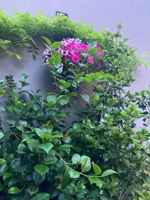 a wreath of flowers on the side of a wall at Chez Roya in Zaventem