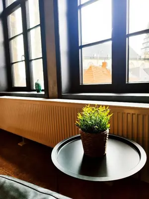 a potted plant sitting on a table in front of windows at Rooftop apartment with 60m terrace overlooking the cathedral in Antwerp