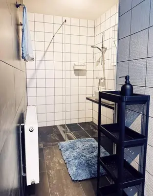 a bathroom with a toilet and a blue rug at Historic Center Apartment Walk to Everything in Ghent