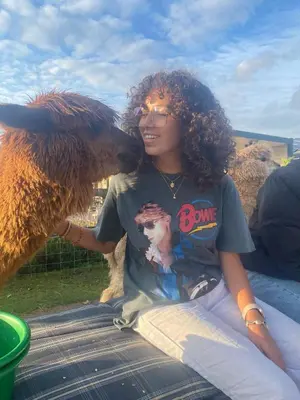 a woman sitting on a table next to a sheep at slapen bij alpacas in Beerse